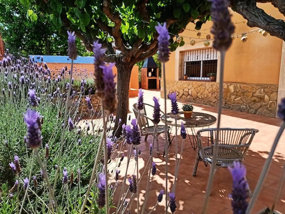 Mas Del Vent- Barbacoa, Jardin, Piscina Privada Y Vistas A Mar Villa Cunit Kültér fotó